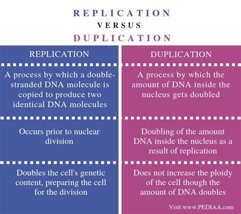 difference between dupe and replica